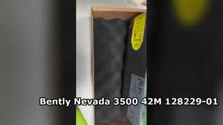 128229-01 Сейсмический монитор Bently Nevada 3500 42M